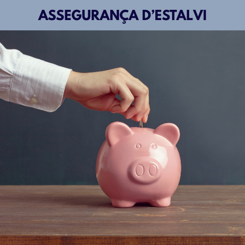 Assegurança estalvi