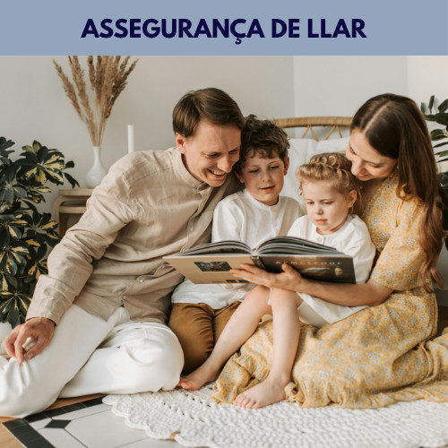Assegurança de llar