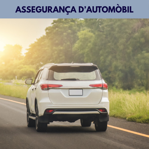 Assegurança Automòbil