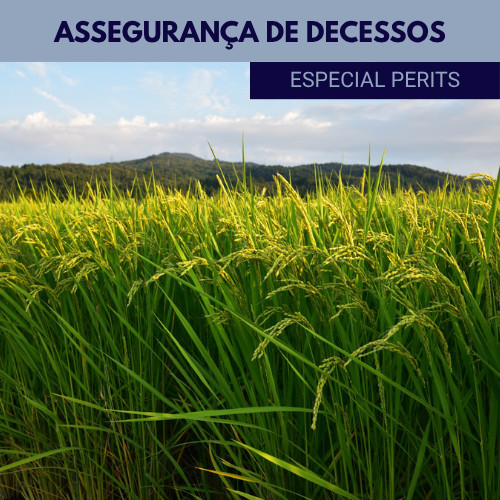 Assegurança decessos especial perits