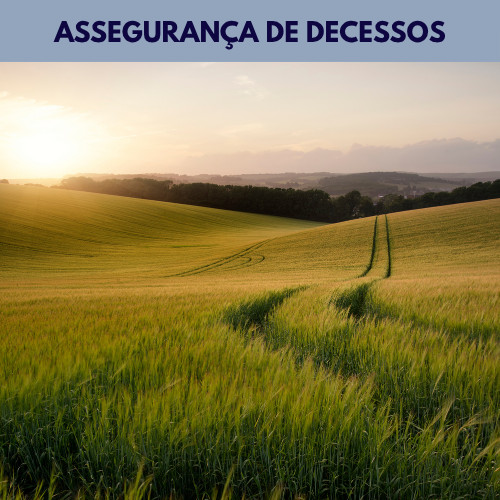 Assegurança decesos