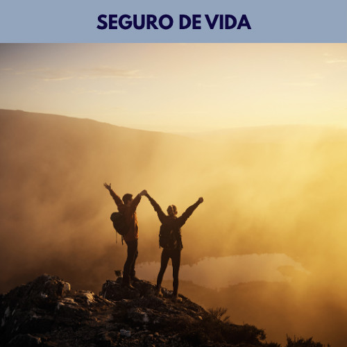 Seguro de Vida