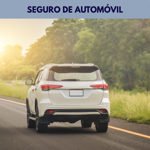 Seguro de automovil