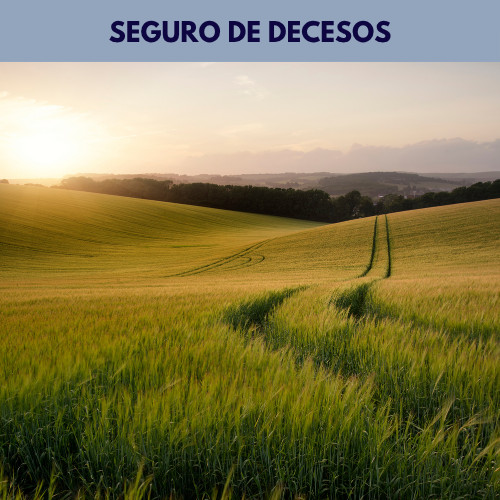 Seguro decesos